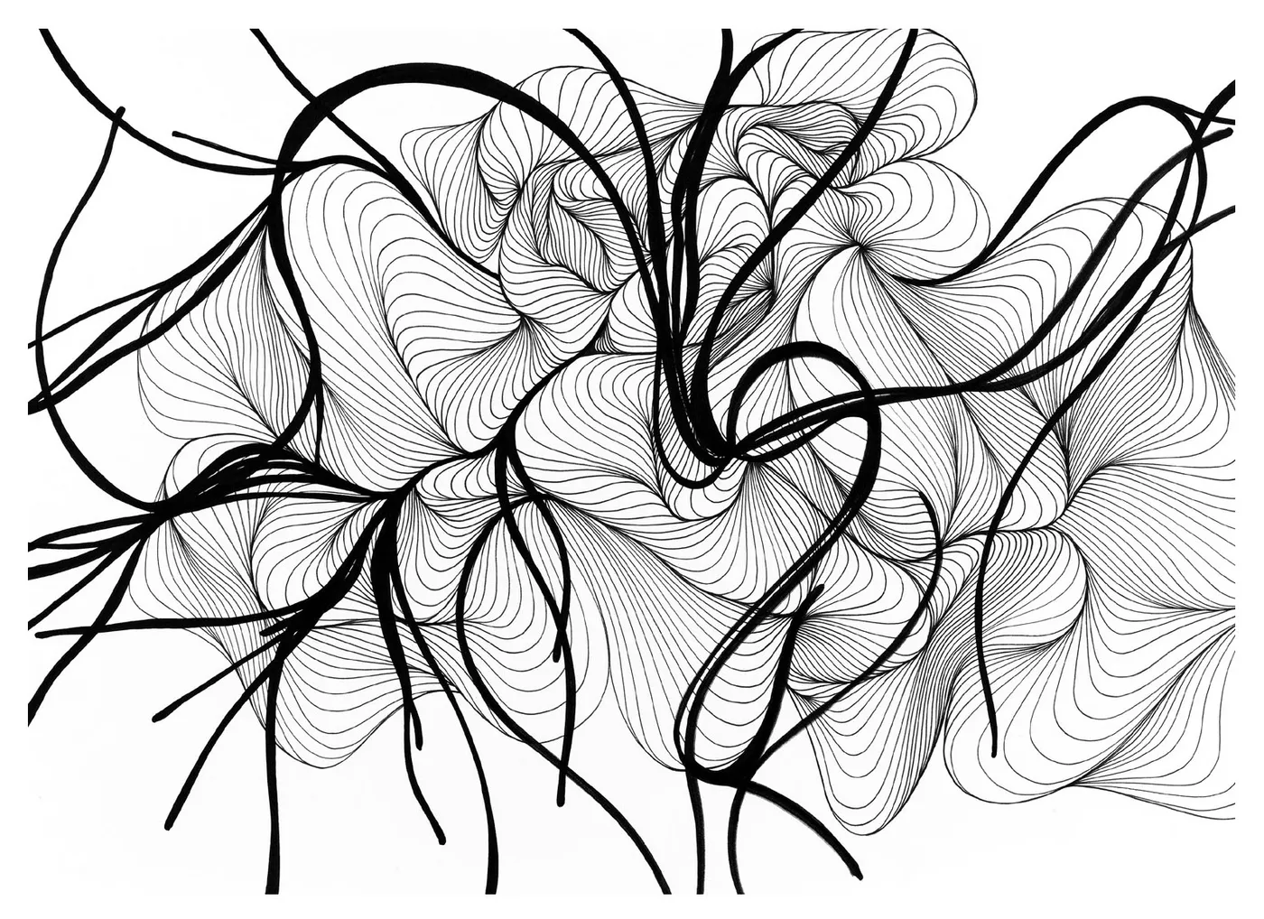 Justine Ashbee’s black-ink drawing of dense, flowing contour lines, featured in the FREEDM zine.